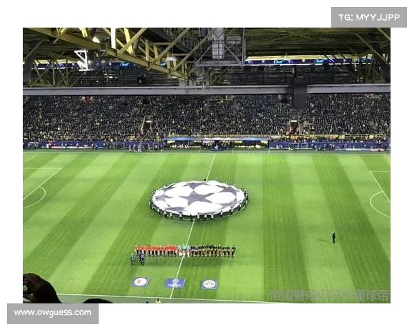 球迷冲入场内致比赛中断，欧足联启动调查